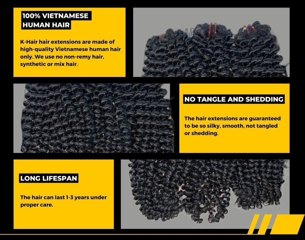 Burmese Curl Natural Color