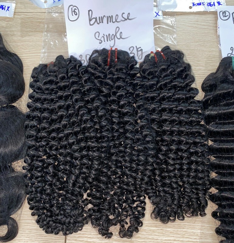 Burmese Curl Natural Color