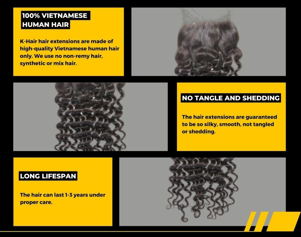 Burmese Curl Natural Color