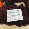 Wholesale Pixie Burgundy