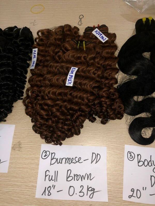 Wholesale Burmese Curl Brown/Ombre Brown Wholesale Burmese Curl Brown/Ombre Brown