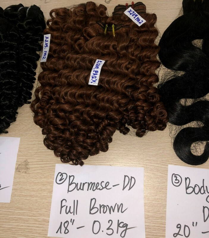 Wholesale Burmese Curl Brown/Ombre Brown Wholesale Burmese Curl Brown/Ombre Brown