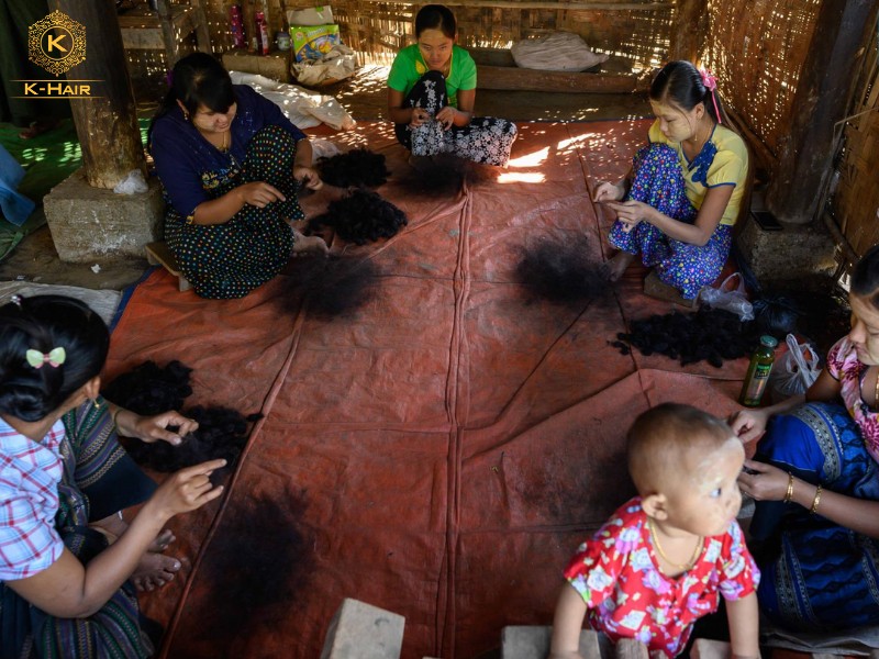 Golden Lotus Hair Trading