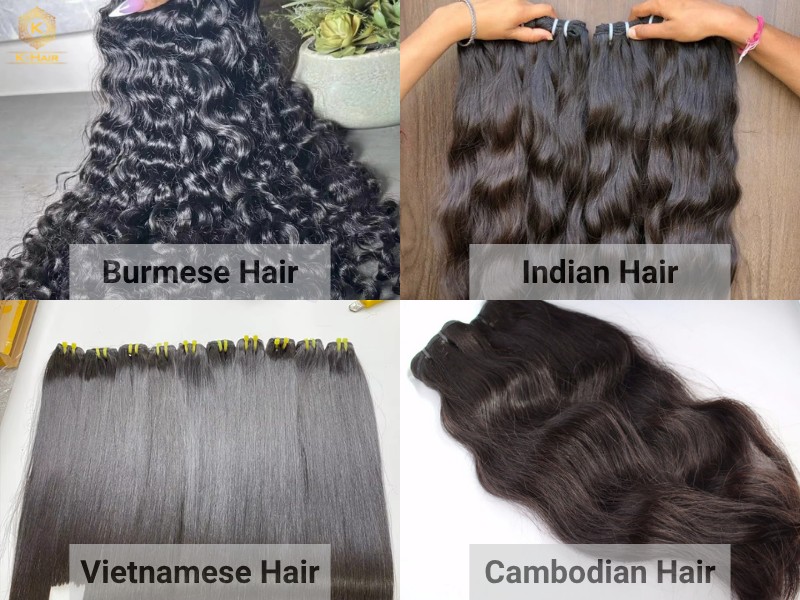 Burmese Hair Vendors - The Ultimate 2026 Sourcing Guide 5 The differences between Burmese vs. Indian vs. vs. Vietnamese vs. Cambodian Hair