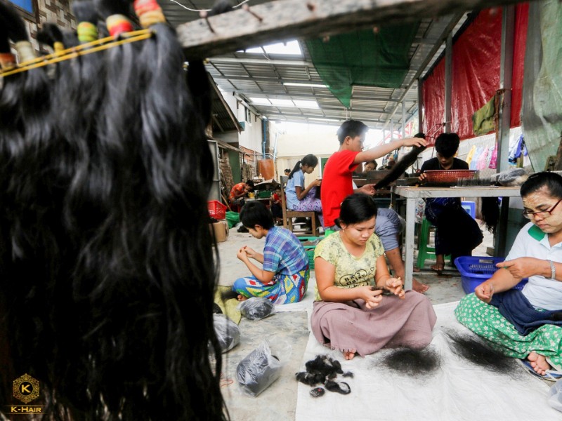 Burmese Hair Vendors - The Ultimate 2026 Sourcing Guide 4 The Supply Chain Evolution - More and more Burmese hair vendors are gaining control over their own hair resources