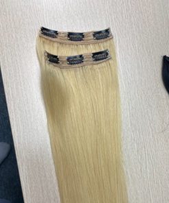 Natural Straight Clip In Hair Extensions Light Color