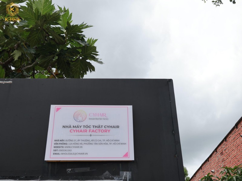 Advantages and disadvantages of working with Cyhair