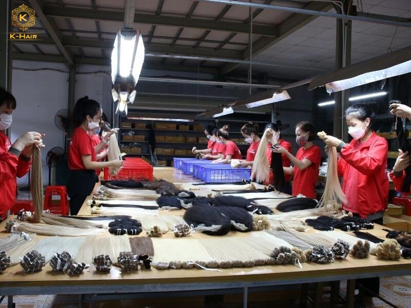 Buying from a Vietnamese hair vendor and you would have the best quality and price