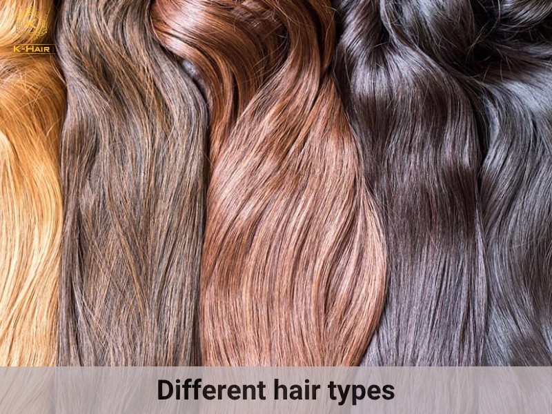 Different hair types and their characteristics