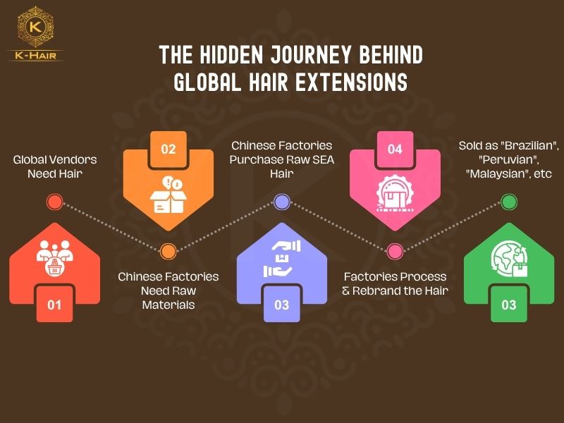 10+ Best Raw Southeast Asian Hair Vendors Worldwide and Facts Revealed 3 How Raw Southeast Asian Hair Enters the Global Market