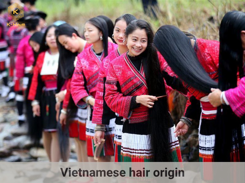 Vietnamese vendors only collect hair from their domestic source