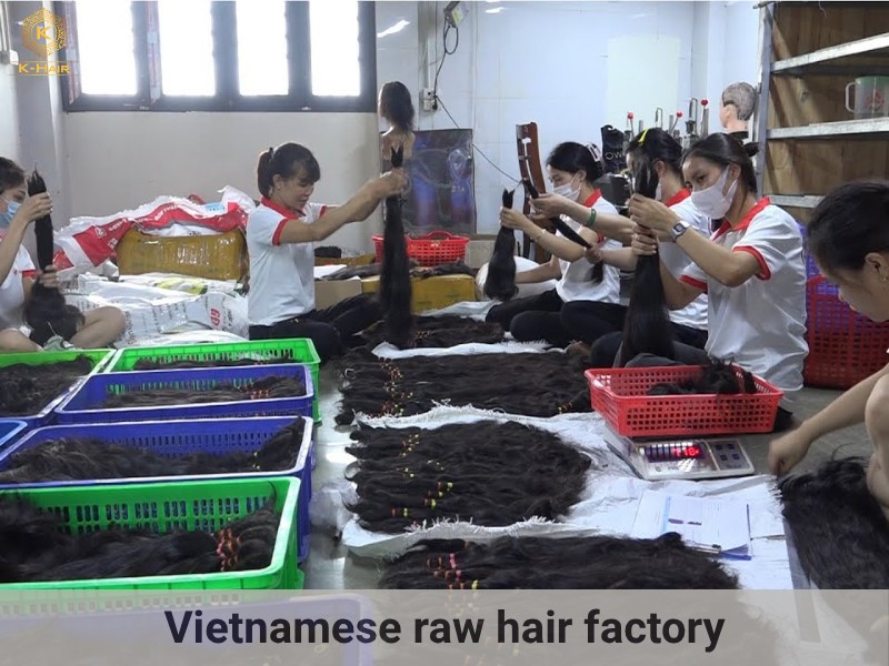 Vietnamese hair is offered with reasonable pricing