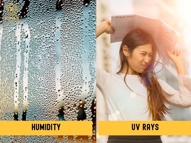 What are Frizzy Hair? The War on Your Head Explained 5 Environmental factors like humidity, UV rays can cause frizz