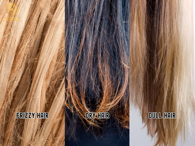 What are Frizzy Hair? The War on Your Head Explained 6 Frizzy hair vs Dry hair vs Dull hair