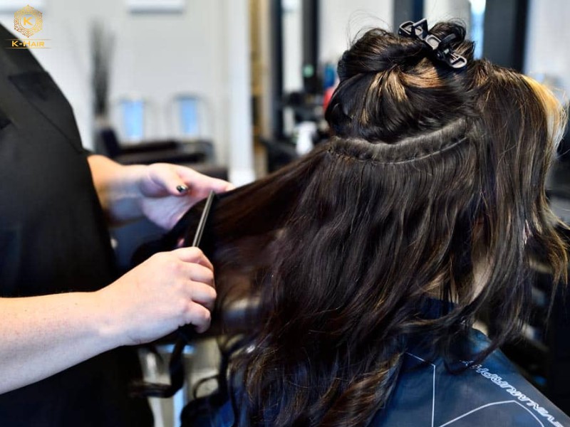 The costs for maintenance and application should also be added in the budget