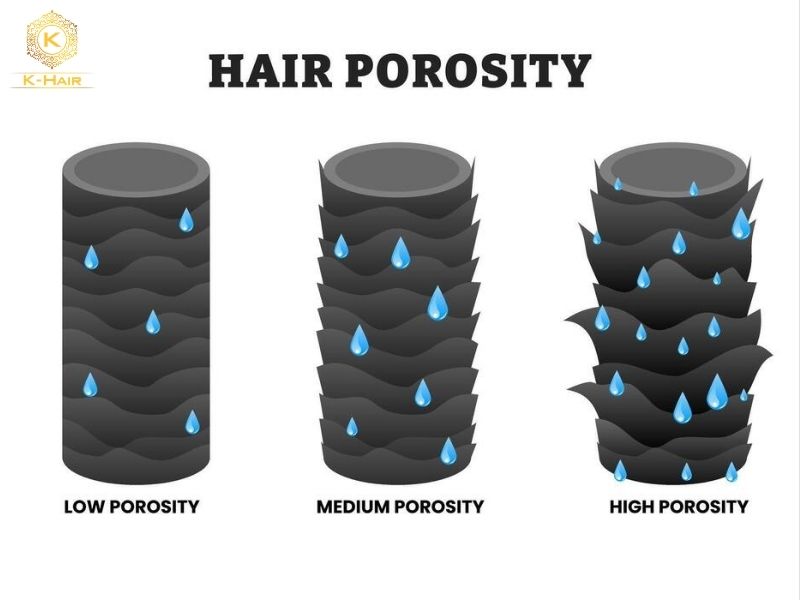 What Is Porous Hair? The Silent Hair Killer Explained 2 Porous hair types include low, medium and high porosity