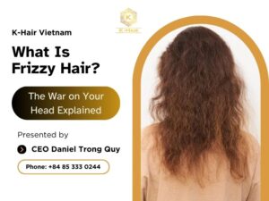 What are Frizzy Hair? The War on Your Head Explained