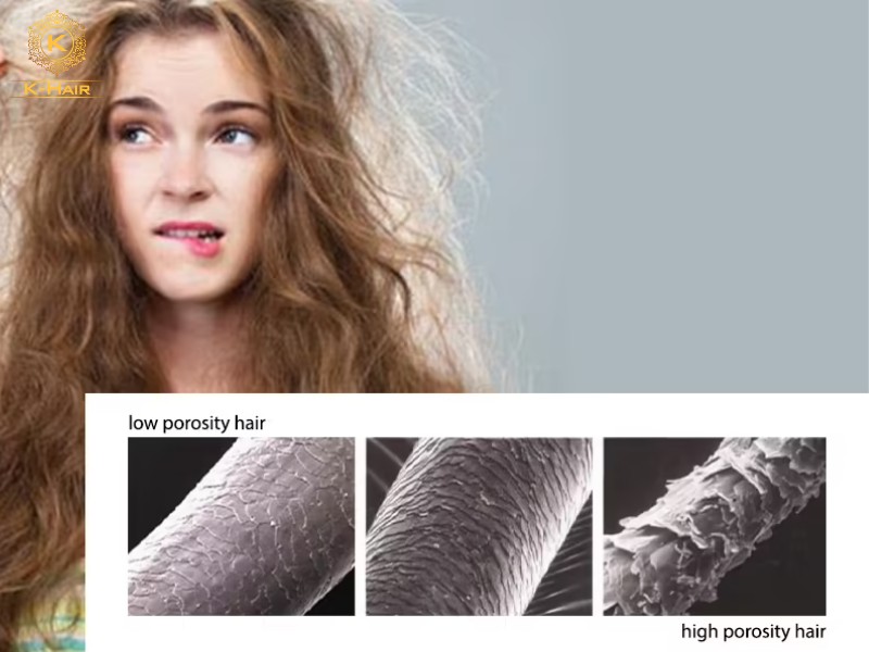 Different types of Hair Porosity are Low, Medium and High porosity