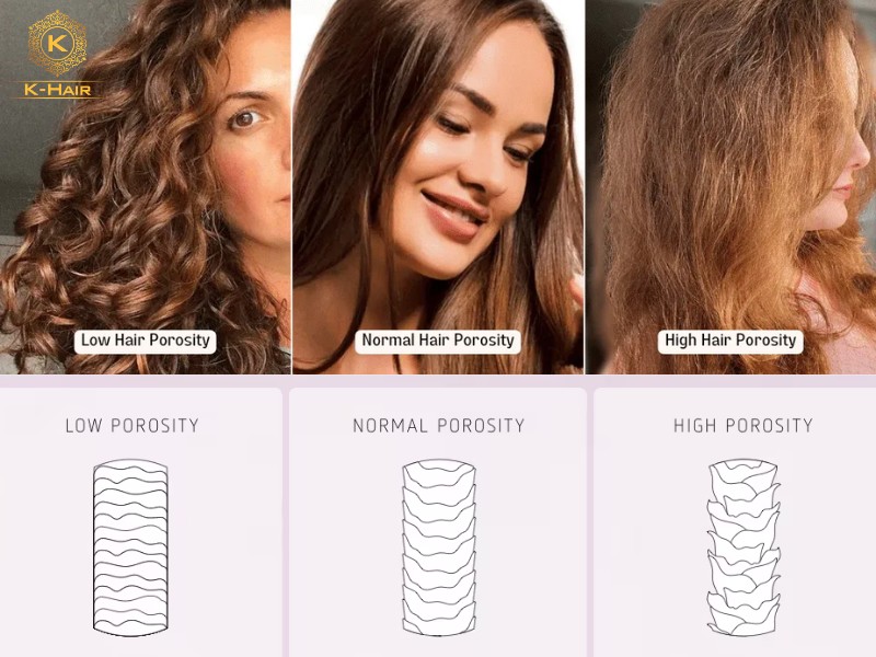 The differences between three hair porosity types