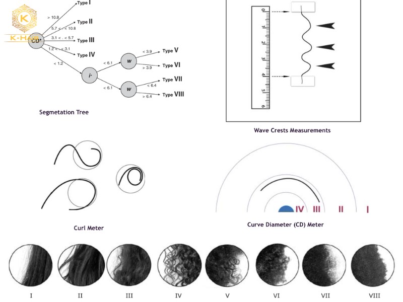 Different science-based hair typing system