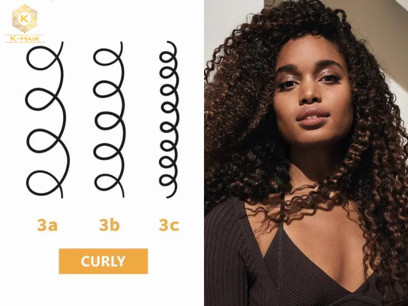 Type 3 Hair - Curly