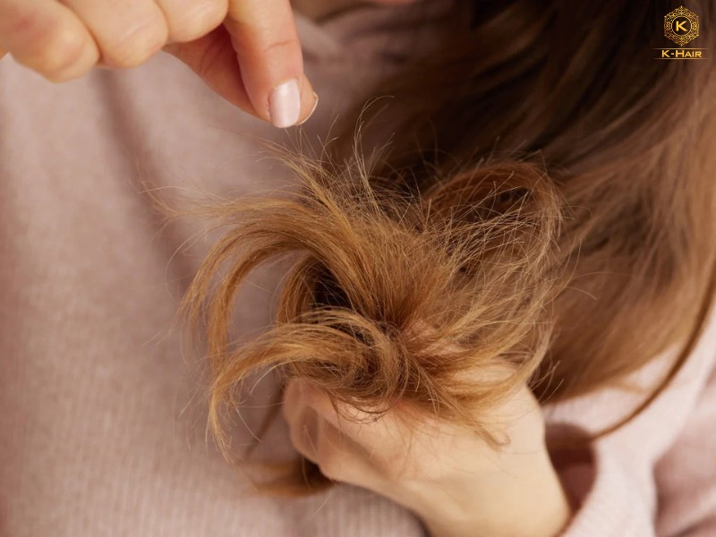 Asian Hair vs Caucasian Hair: Key Differences Explained 7 Caucasian hair has higher porosity - more prone to dehydration