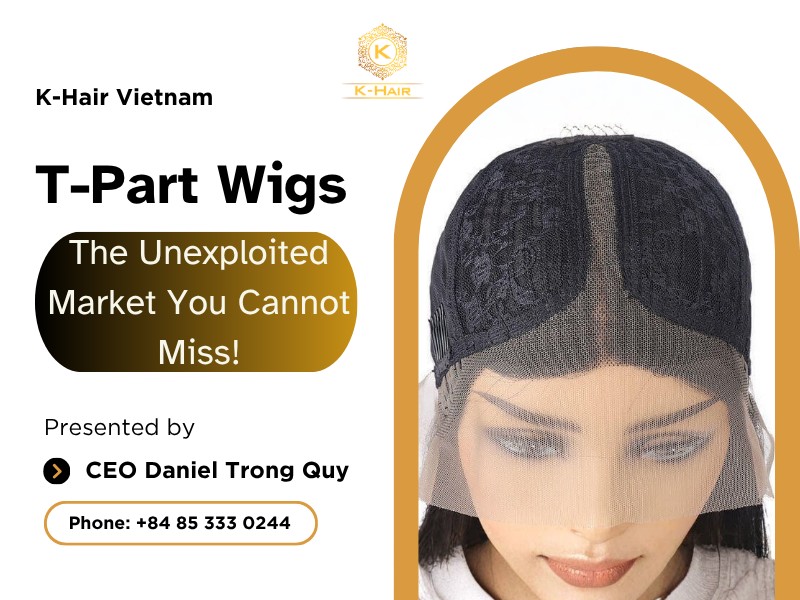 T-Part Wigs - The Unexploited Market You Cannot Miss! 1 T-Part Wigs - The Unexploited Market You Cannot Miss!