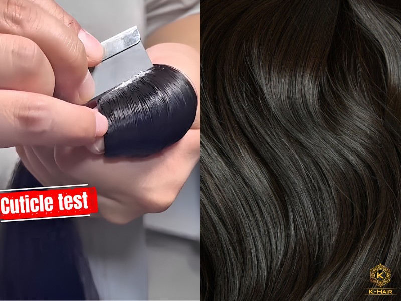 Top 10+ Wholesale Hair Vendors in Chicago - A Complete Guide 16 Cuticle test using sharp blade to verify hair quality from Chicago vendors