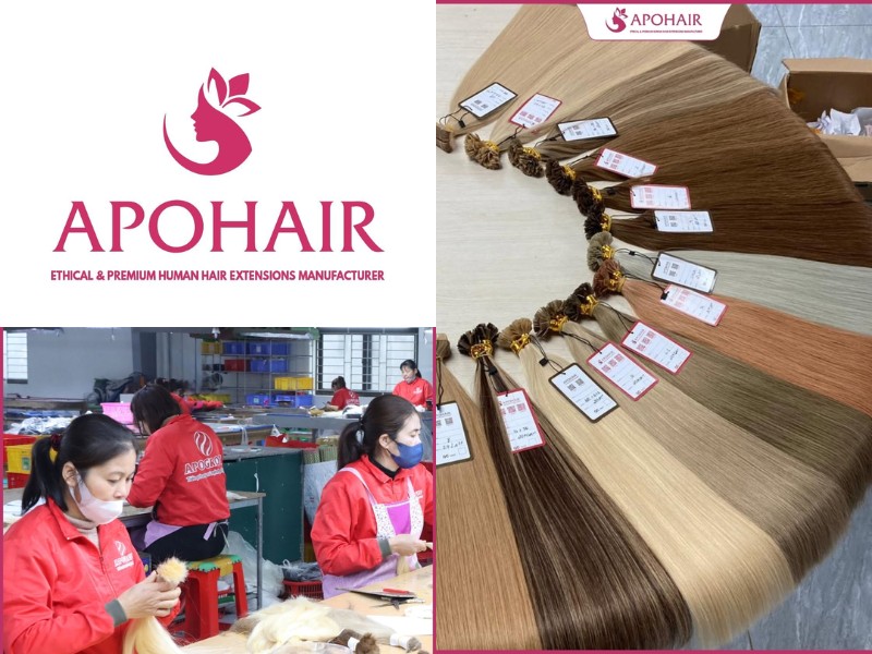 Vietnamese Hair vs Chinese Hair: Which Extensions Are Better? 8 APOHAIR