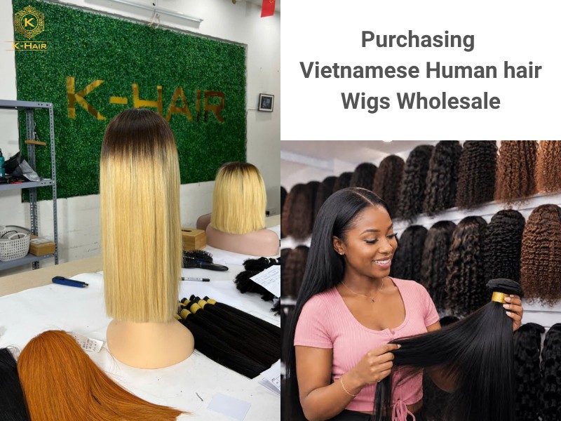 Vietnamese Human Hair Wigs Wholesale & B2B Potentials 9 How to Maximize ROI with Your Direct Vietnamese Hair Supplier - The Complete Guide