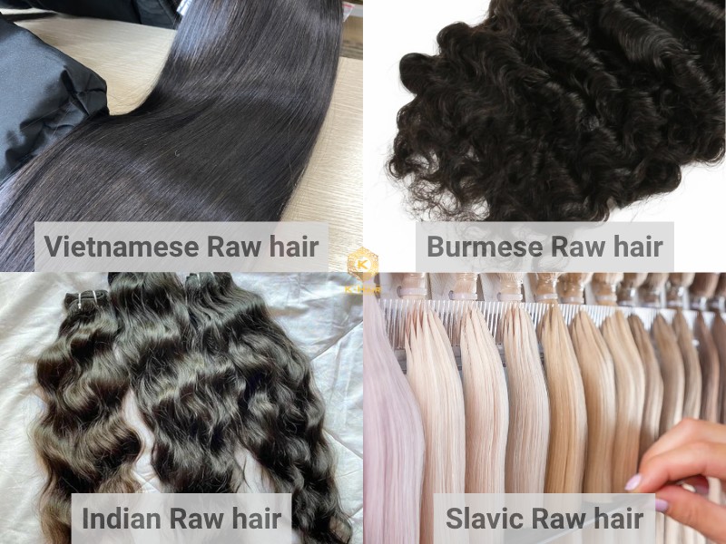 Raw Hair Extensions: The B2B Wholesale Sourcing Guide 5 The available raw hair sources are Vietnamese, Indian, Cambodian, Burmese, Slavic hair
