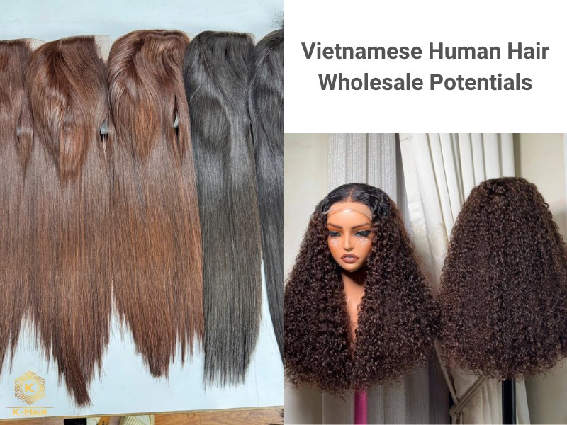 Vietnamese Human Hair Wigs Wholesale & B2B Potentials 2 The B2B Advantage: Why Import Vietnamese Human Hair Wigs Wholesale?