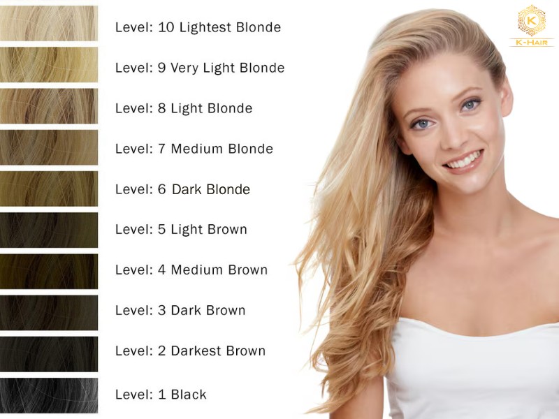 Hair Color Levels: Your Ultimate Guide to Charts & Tones 4 The Universal Hair Color Levels Chart