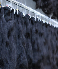 Wholesale Natural Wavy Raw Vietnamese Hair 3 3 3
