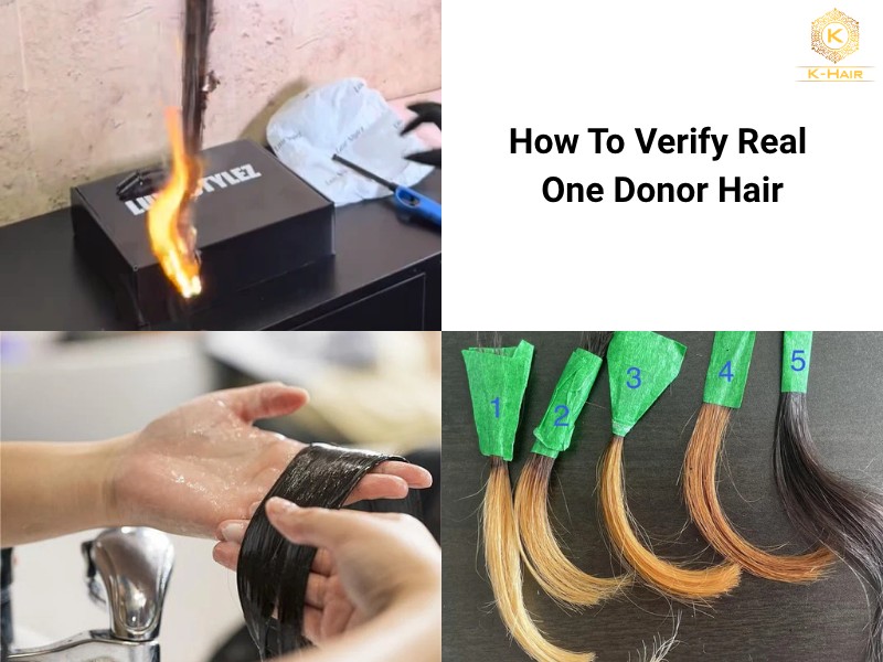 What Is One Donor Hair? Single Donor Hair Meaning Explained 8 5 ways to test your single-donor hair's integrity