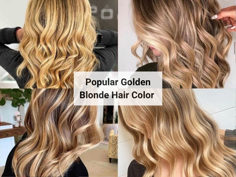 Ash Blonde vs Golden Blonde: Know the Differences Before You Choose 6 Honey golden blonde, balayage, and buttery highlight ideas