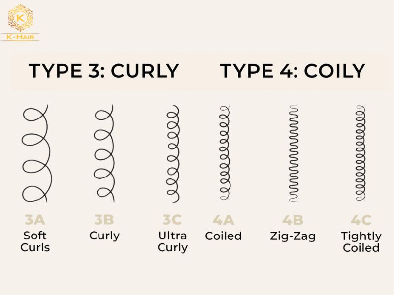 Coily Hair vs Curly Hair: Amazing Key Differences 4 Hair typing chart from Type 3A curly to Type 4C coily hair