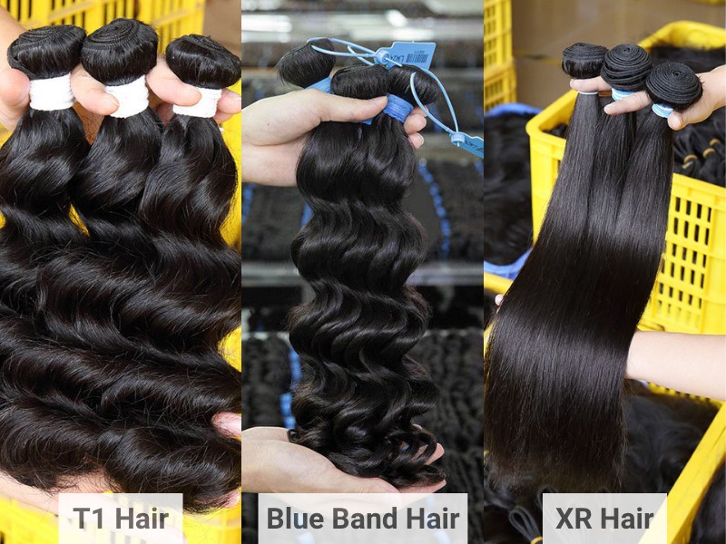 The Honest KBL Hair Review 2026: Are They Worth Your Money? 5 KBL Hair Product Tiers: XR Line vs. T1 Line vs. Blue Band Line