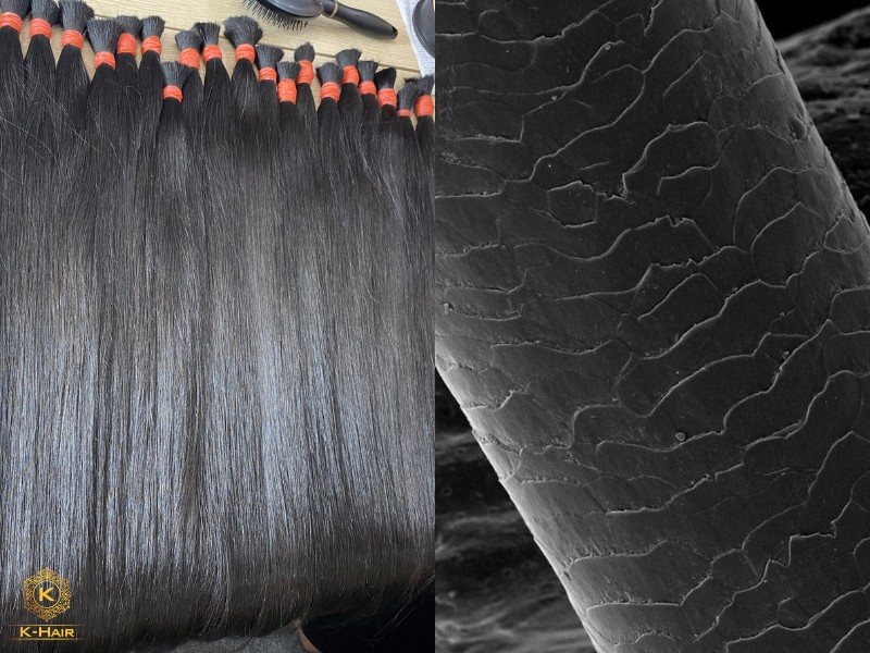 What Is One Donor Hair? Single Donor Hair Meaning Explained 3 One donor hair comes from one head, cut in one direction, hence, its cuticles are aligned by default