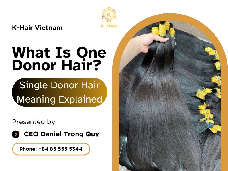 What Is One Donor Hair? Single Donor Hair Meaning Explained
